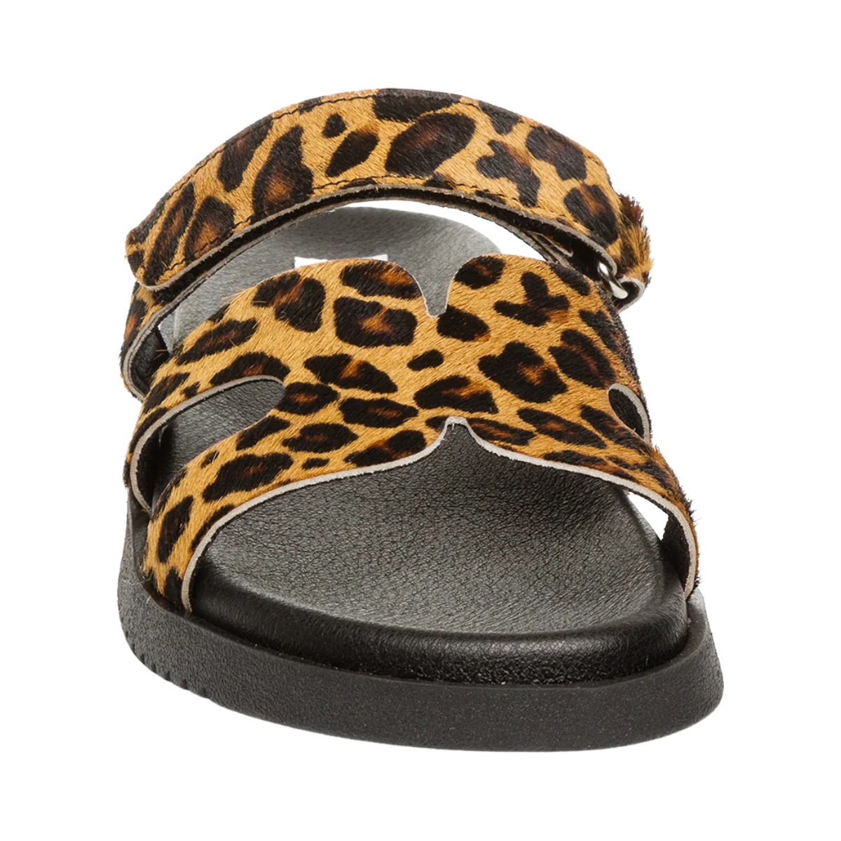 Missile-LC - LEOPARD - Bild 5