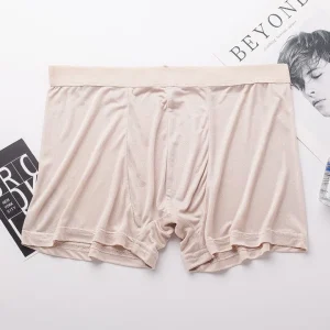 Mulberry Silk Boxer för män Pure Silk Briefs Underwear